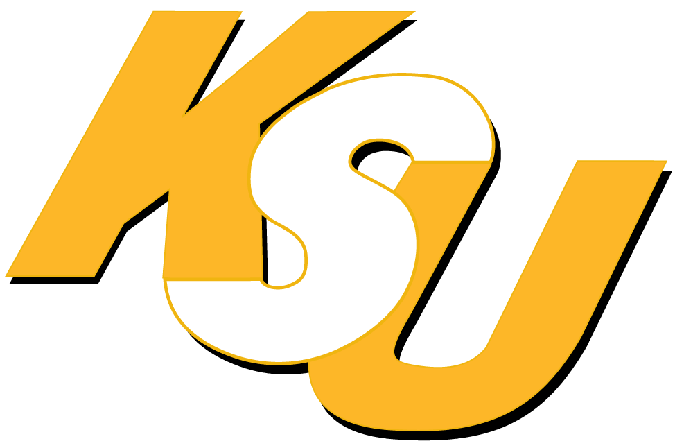 Kennesaw State Owls 0-2011 Wordmark Logo v2 diy fabric transfer